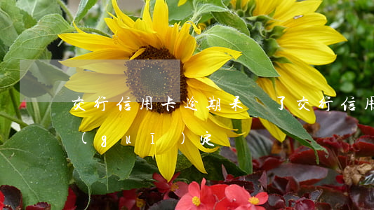 交行信用卡逾期呆賬了(交行信用卡呆賬新規(guī)定)