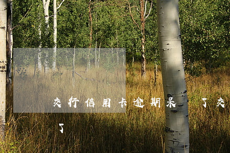 交行信用卡逾期呆賬了(交行信用卡逾期呆賬了)