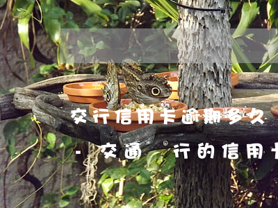 交行信用卡逾期多久會(huì)被起訴6-交通銀行的信用卡逾期了怎么辦