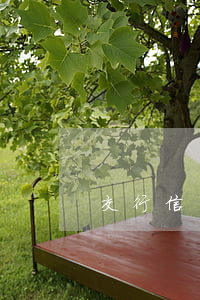 交行信用卡逾期多久能消除