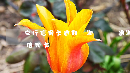 交行信用卡逾期幾期會凍結(逾期多久會凍結信用卡)