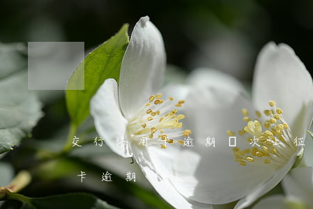 交行信用卡逾期幾次上征信(征信有兩次信用卡逾期)