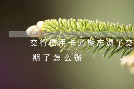 交行信用卡逾期忘還了(交通銀行的信用卡逾期了怎么辦)