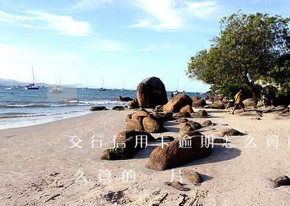 交行信用卡逾期怎么算的(交行信用卡逾期怎么算的圖片)