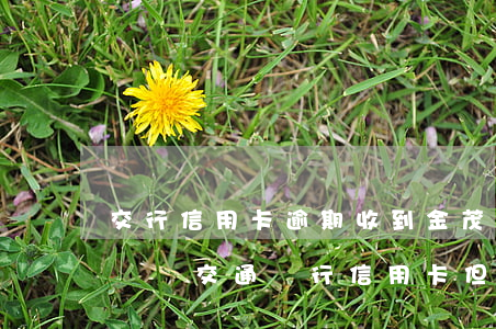 交行信用卡逾期收到金茂律師的短信(我沒有辦過交通銀行信用卡但是給我發(fā)短信說我逾期了)