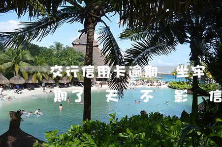 交行信用卡逾期會坐牢嗎(交通銀行信用卡逾期了兩天會不會影響信用)