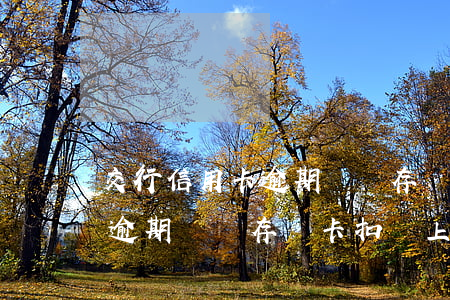 交行信用卡逾期會從存儲卡扣嗎(交行信用卡逾期會從存儲卡扣嗎上征信嗎)