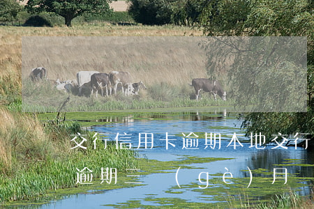 交行信用卡逾期本地交行(欠交行信用卡3萬逾期三個(gè)月讓我一次還清要不就起訴我)