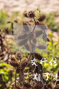 交行信用卡逾期沒錢還(交通銀行的信用卡逾期了怎么辦)