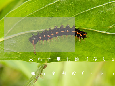 交行信用卡逾期準(zhǔn)備材料(交通銀行逾期說(shuō)是要準(zhǔn)備資料)