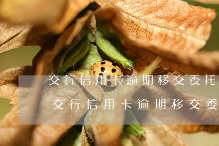 交行信用卡逾期移交委托機構(gòu)-交行信用卡逾期移交委托機構(gòu)
