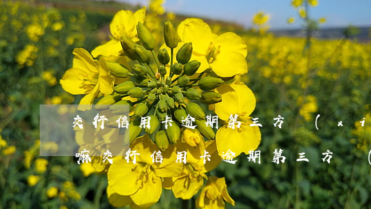 交行信用卡逾期第三方協(xié)商可信嘛(交行信用卡逾期第三方協(xié)商可信嘛)