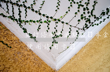 交行信用卡逾期能還本金嗎(逾期還清后還能使用信用卡嗎)