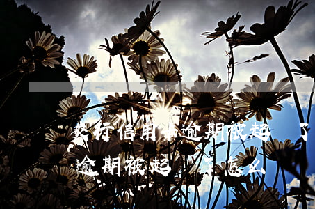 交行信用卡逾期被起訴了怎么辦(交行信用卡逾期被起訴了怎么辦)