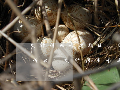 交行信用卡逾期被轉(zhuǎn)028催收-交行信用卡逾期被轉(zhuǎn)028催收怎么辦