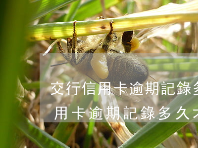 交行信用卡逾期記錄多久才會消除-交行信用卡逾期記錄多久才會消除掉
