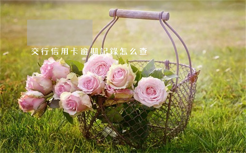 交行信用卡逾期記錄怎么查