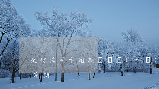 交行信用卡逾期訴訟(發(fā)生過信用卡逾期)