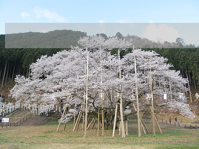 交行信用卡逾期費用多少