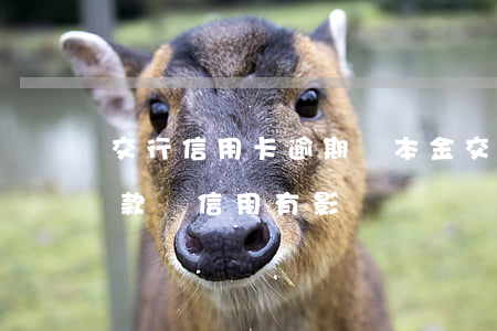 交行信用卡逾期還本金(交通銀行逾期一天還款對信用有影響嗎)