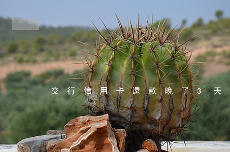 交行信用卡還款晚了3天算逾期嗎