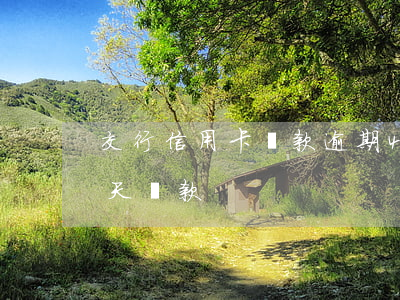 交行信用卡還款逾期4天(交行信用卡晚了4天還款)