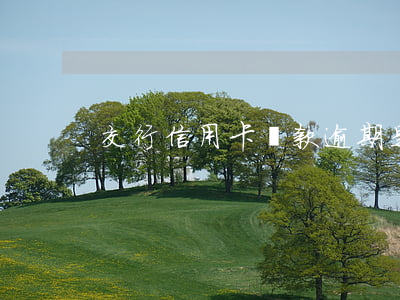 交行信用卡還款逾期是多少利息