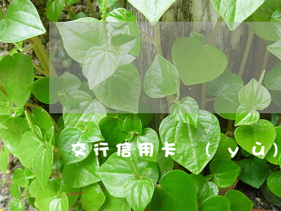 交行信用卡預(yù)期協(xié)商