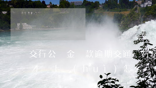交行公積金貸款逾期(交通銀行房貸逾期兩天才還上會(huì)怎么樣)