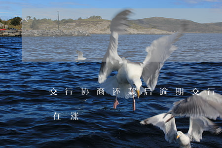 交行协商还款后逾期(交行协商还款后利息还在涨)