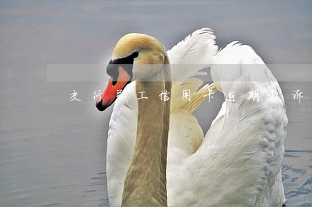 交行员工信用卡逾期(投诉交行员工)