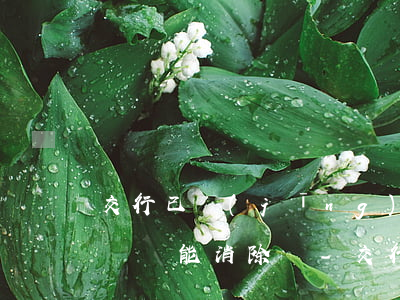 交行已經(jīng)上報(bào)逾期記錄能消除嗎-交行已經(jīng)上報(bào)逾期記錄能消除嗎怎么辦