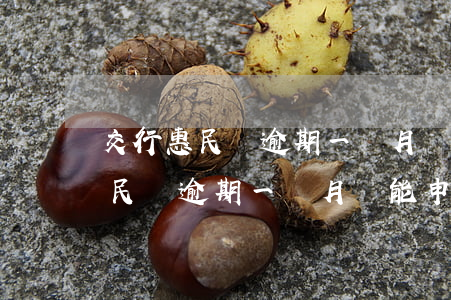 交行惠民貸逾期一個月還能申請嗎-交行惠民貸逾期一個月還能申請嗎知乎