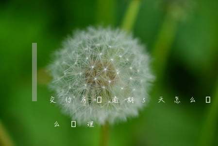 交行房貸逾期5天怎么辦(房貸逾期了5天怎么處理)