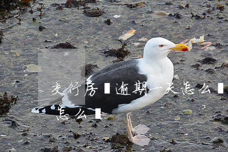 交行房貸逾期一天怎么辦(銀行房貸逾期一天怎么辦)
