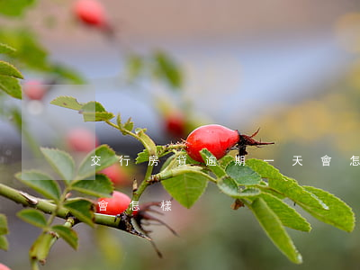 交行房貸逾期一天會怎樣(交行房貸逾期一天會怎樣)