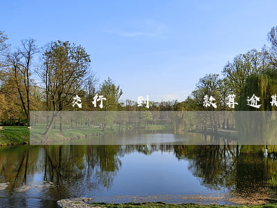 交行沒到點還款算逾期嗎(交行晚了8天還款)