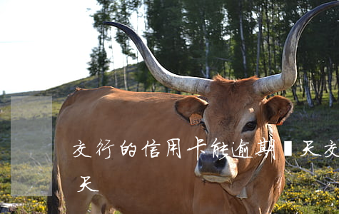 交行的信用卡能逾期幾天（交通信用卡逾期八天）