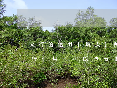 交行的信用卡透支1萬(wàn)元(交通銀行信用卡可以透支嗎)