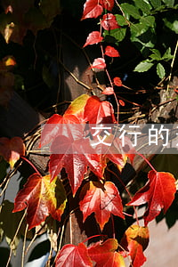 交行的逾期是怎么計(jì)算的