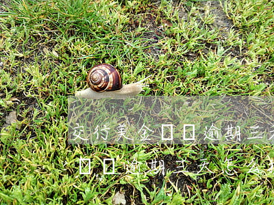 交行美金賬戶逾期三天怎么投訴-交行美金賬戶逾期三天怎么投訴他