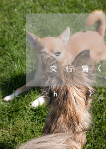 交行質(zhì)押貸款還不起（交行質(zhì)押貸款還不起）