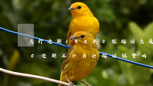 交行逾期14500被起诉(交通银行8000逾期三个月会起诉报警吗)