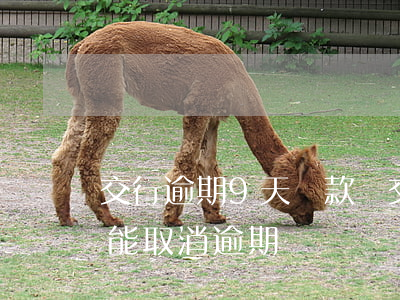 交行逾期9天還款嗎(交通銀行逾期6天還款,能取消逾期記錄嗎?)