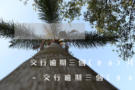 交行逾期三個(gè)月違約金大概是多少-交行逾期三個(gè)月違約金大概是多少錢