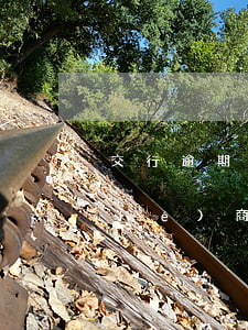 交行逾期三個(gè)月還能跟客服協(xié)商還款嗎（交行信用卡逾期3年可以協(xié)商嗎）