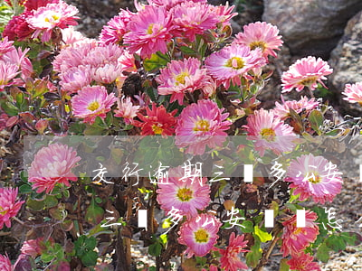 交行逾期三萬多公安傳喚怎么辦-交行逾期三萬多公安傳喚怎么辦啊