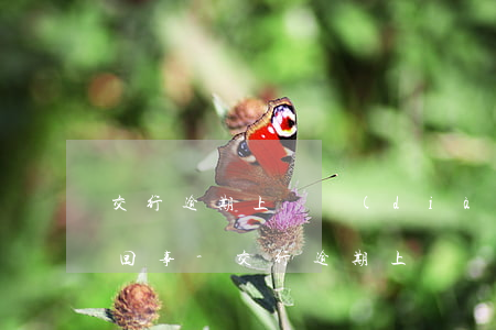 交行逾期上門調(diào)查取證是怎么回事-交行逾期上門調(diào)查取證是怎么回事啊