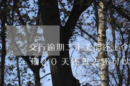交行逾期二十天能还上个月最低么-交行逾期20天 还进去还可以刷出来吗
