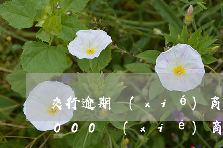 交行逾期協(xié)商還款(欠交通銀行8000協(xié)商還款步驟)
